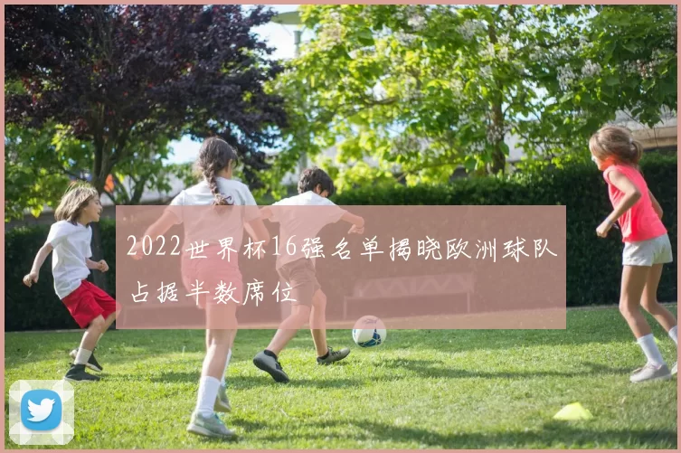 2022世界杯16强名单揭晓欧洲球队占据半数席位