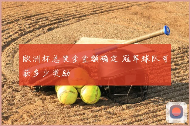 欧洲杯总奖金金额确定 冠军球队可获多少奖励